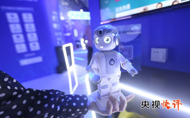 推動人工智能更好造福人類社會——加強人工智能公共服務技術咨詢體系建設